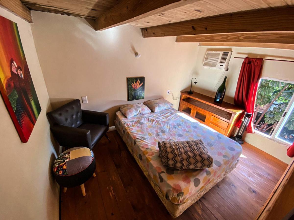 Hostel Krieger Hauss プエルト・イグアス エクステリア 写真